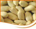 Blanched Peanuts 